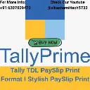 Tally TDL PaySlip Print Format l Stylish PaySlip Print
